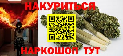 гидра Будённовск