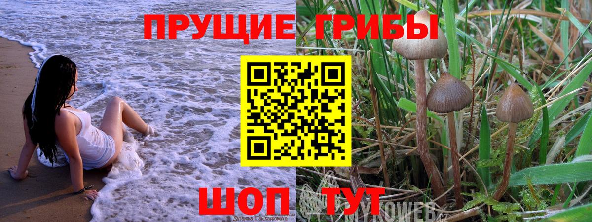 Псилоцибиновые грибы Cubensis  Псилоцибиновые грибы Psilocybe  где купить   Уварово  Вход с VPN 